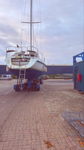 Salacia auf dem Weg zum Kranen