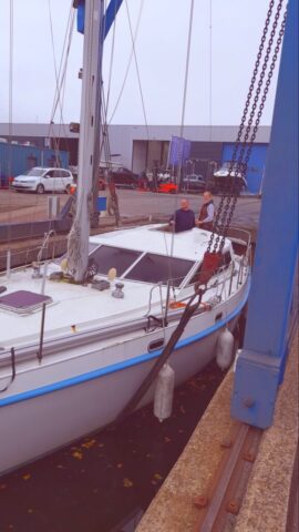 Scharf Ausschau halten...